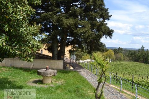 Gård i Serta, Castelo Branco, Serta - € 2 950 000 | Ref: MAS_111RS1204-4610 - foto 38