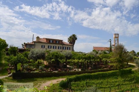 Gård i Serta, Castelo Branco, Serta - € 2 950 000 | Ref: MAS_111RS1204-4610 - foto 40