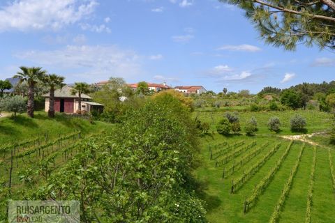 Gård i Serta, Castelo Branco, Serta - € 2 950 000 | Ref: MAS_111RS1204-4610 - foto 41