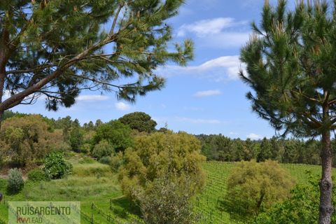 Gård i Serta, Castelo Branco, Serta - € 2 950 000 | Ref: MAS_111RS1204-4610 - foto 42