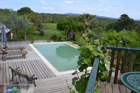 Gård i Serta, Castelo Branco, Serta - € 2 950 000 | Ref: MAS_111RS1204-4610 - foto 49