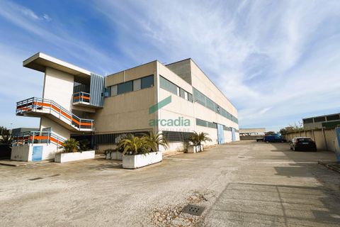L'establiment comercial a Modugno, Bari, Modugno - € 1.700.000 | Ref: 11826/2024 - foto 2