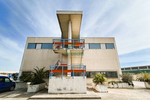 L'establiment comercial a Modugno, Bari, Modugno - € 1.700.000 | Ref: 11826/2024 - foto 17