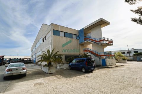 L'establiment comercial a Modugno, Bari, Modugno - € 1.700.000 | Ref: 11826/2024 - foto 18