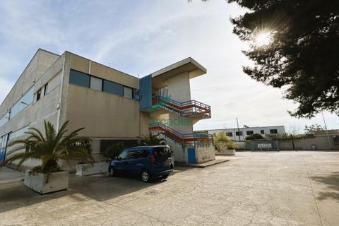 L'establiment comercial a Modugno, Bari, Modugno - € 1.700.000 | Ref: 11826/2024 - foto 19