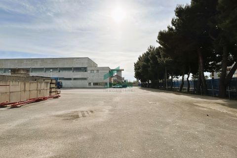L'establiment comercial a Modugno, Bari, Modugno - € 1.700.000 | Ref: 11826/2024 - foto 20