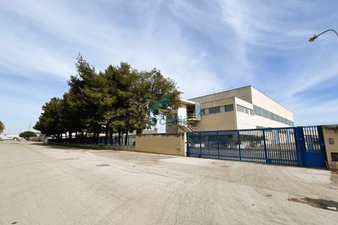 L'establiment comercial a Modugno, Bari, Modugno - € 1.700.000 | Ref: 11826/2024 - foto 26