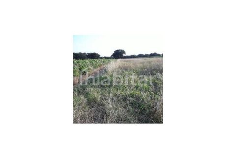 Helårsgrund i Benfica do Ribatejo, Santarem, Benfica do Ribatejo - € 10.610 | Ref: HB3649 - foto 2