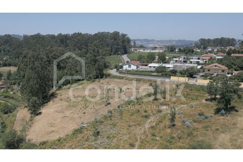 Terra a Airaes, Porto, Airaes - € 220.000 | Ref: 100001 - foto 2