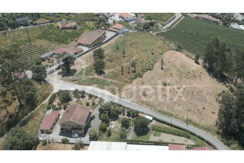 Terra a Airaes, Porto, Airaes - € 220.000 | Ref: 100001 - foto 4