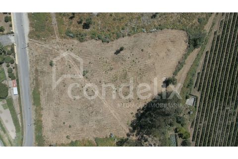 Terra a Airaes, Porto, Airaes - € 220.000 | Ref: 100001 - foto 5