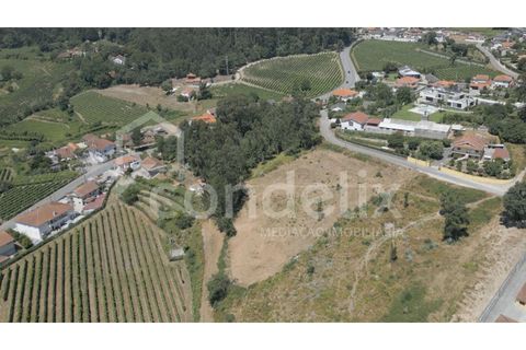 Terra a Airaes, Porto, Airaes - € 220.000 | Ref: 100001 - foto 6