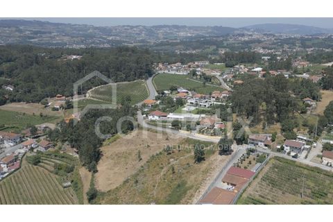 Terra a Airaes, Porto, Airaes - € 220.000 | Ref: 100001 - foto 7