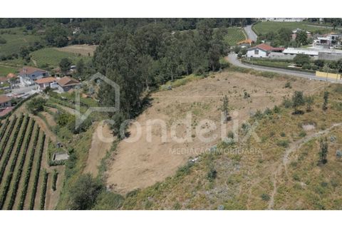 Terra a Airaes, Porto, Airaes - € 220.000 | Ref: 100001 - foto 8