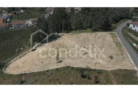 Terra a Airaes, Porto, Airaes - € 220.000 | Ref: 100001 - foto 9