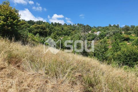 Leilighet i Baiao, Porto, Baiao - € 44 000 | Ref: 123 - foto 2