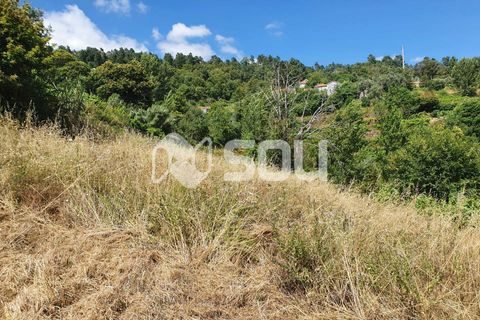 Leilighet i Baiao, Porto, Baiao - € 44 000 | Ref: 123 - foto 5