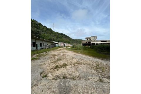 Erhvervsejendom i Camarate, Lisbon, Camarate - € 3.500.000 | Ref: AP13.059 - foto 4