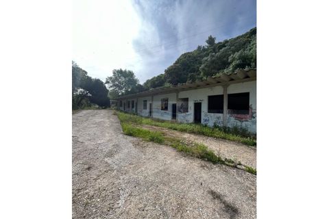 Erhvervsejendom i Camarate, Lisbon, Camarate - € 3.500.000 | Ref: AP13.059 - foto 5