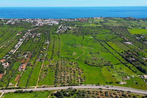 Farm hus i Luz, Faro, Luz - € 1.150.000 | Ref: JE001 AM - foto 4