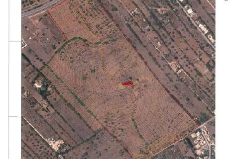 Farm hus i Luz, Faro, Luz - € 1.150.000 | Ref: JE001 AM - foto 14