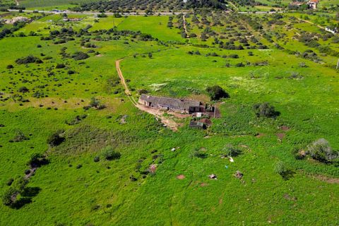 Farm hus i Luz, Faro, Luz - € 1.150.000 | Ref: JE001 AM - foto 6