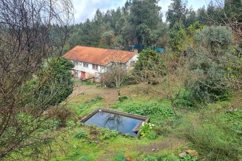 Villa i Ponte de Lima, Viana do Castelo, Ponte de Lima - € 270.000 | Ref: PTL-016-002 - foto 1