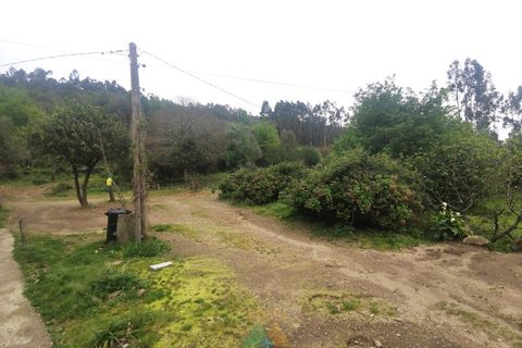 Villa i Ponte de Lima, Viana do Castelo, Ponte de Lima - € 270.000 | Ref: PTL-016-002 - foto 8