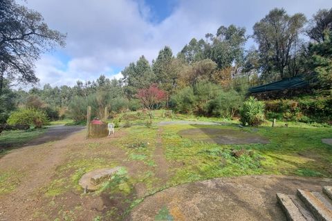 Villa i Ponte de Lima, Viana do Castelo, Ponte de Lima - € 270.000 | Ref: PTL-016-002 - foto 9