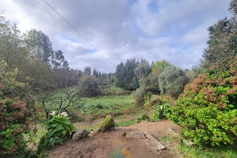 Villa i Ponte de Lima, Viana do Castelo, Ponte de Lima - € 270.000 | Ref: PTL-016-002 - foto 10