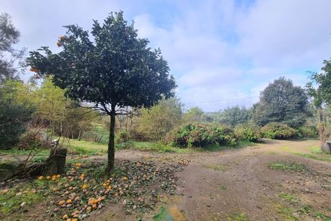 Villa i Ponte de Lima, Viana do Castelo, Ponte de Lima - € 270.000 | Ref: PTL-016-002 - foto 11
