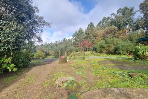 Villa i Ponte de Lima, Viana do Castelo, Ponte de Lima - € 270.000 | Ref: PTL-016-002 - foto 12