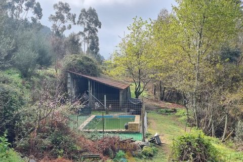 Villa i Ponte de Lima, Viana do Castelo, Ponte de Lima - € 270.000 | Ref: PTL-016-002 - foto 5