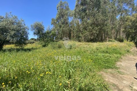 Helårsgrund i Rio Maior, Santarem, Rio Maior - € 16.000 | Ref: CAL-215960 - foto 2