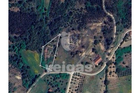 Helårsgrund i Rio Maior, Santarem, Rio Maior - € 16.000 | Ref: CAL-215960 - foto 4