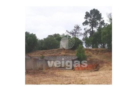 Helårsgrund i Rio Maior, Santarem, Rio Maior - € 16.000 | Ref: CAL-215960 - foto 6