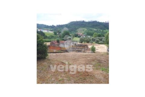 Helårsgrund i Rio Maior, Santarem, Rio Maior - € 16.000 | Ref: CAL-215960 - foto 7