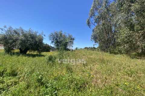 Helårsgrund i Rio Maior, Santarem, Rio Maior - € 16.000 | Ref: CAL-215960 - foto 9