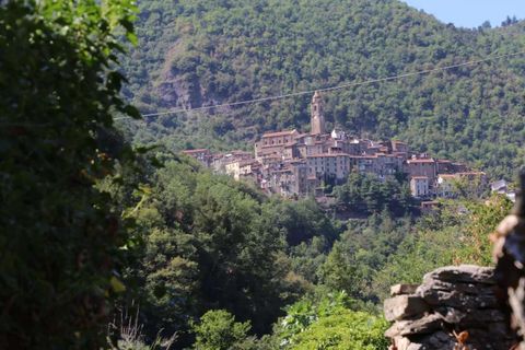 Villa i Pigna, Imperia, Pigna - € 195.000 | Ref: D413-149314 - foto 19