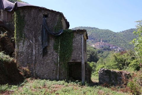Villa i Pigna, Imperia, Pigna - € 195.000 | Ref: D413-149314 - foto 22