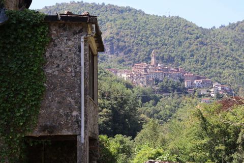 Villa i Pigna, Imperia, Pigna - € 195.000 | Ref: D413-149314 - foto 23