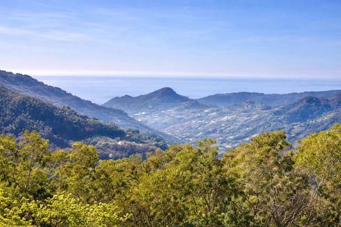 Villa a Perinaldo, Imperia, Perinaldo - € 595.000 | Ref: E292-149528 - foto 23