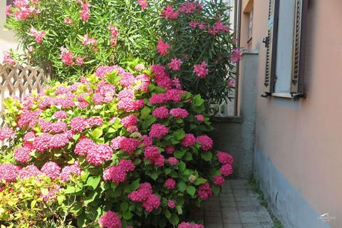 Villa a Aulla, Massa and Carrara, Aulla - € 135.000 | Ref: 005B-173723 - foto 44