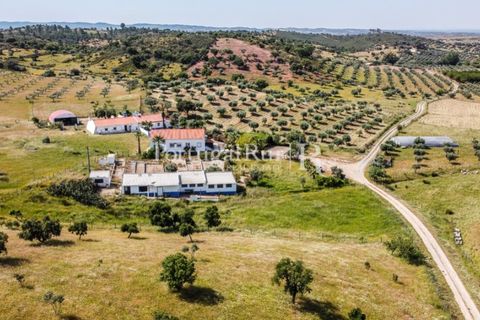 Landejendom i Evora, Evora, Evora - € 785.000 | Ref: 791 - foto 3