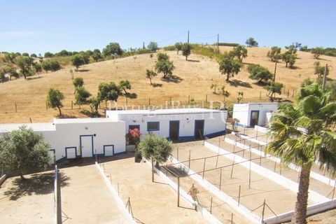 Landejendom i Evora, Evora, Evora - € 785.000 | Ref: 791 - foto 4