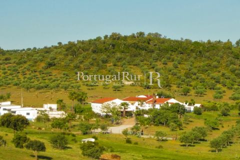 Landejendom i Evora, Evora, Evora - € 785.000 | Ref: 791 - foto 2
