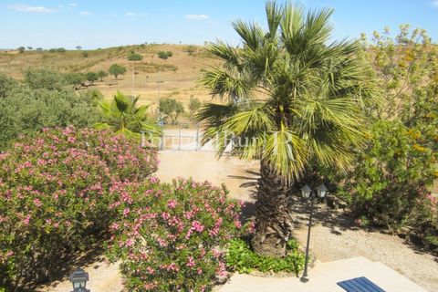 Landejendom i Evora, Evora, Evora - € 785.000 | Ref: 791 - foto 11