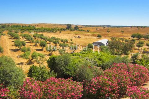 Landejendom i Evora, Evora, Evora - € 785.000 | Ref: 791 - foto 41