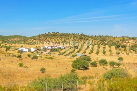 Landejendom i Evora, Evora, Evora - € 785.000 | Ref: 791 - foto 44