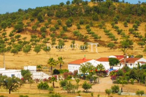 Landejendom i Evora, Evora, Evora - € 785.000 | Ref: 791 - foto 46